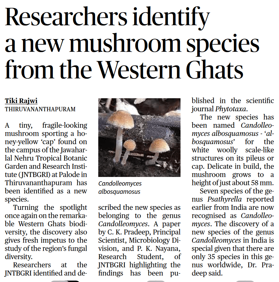 Researchers identify a new mushroom species from the Western Ghats - Page No.6 , GS 3